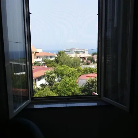 Mirabelli *